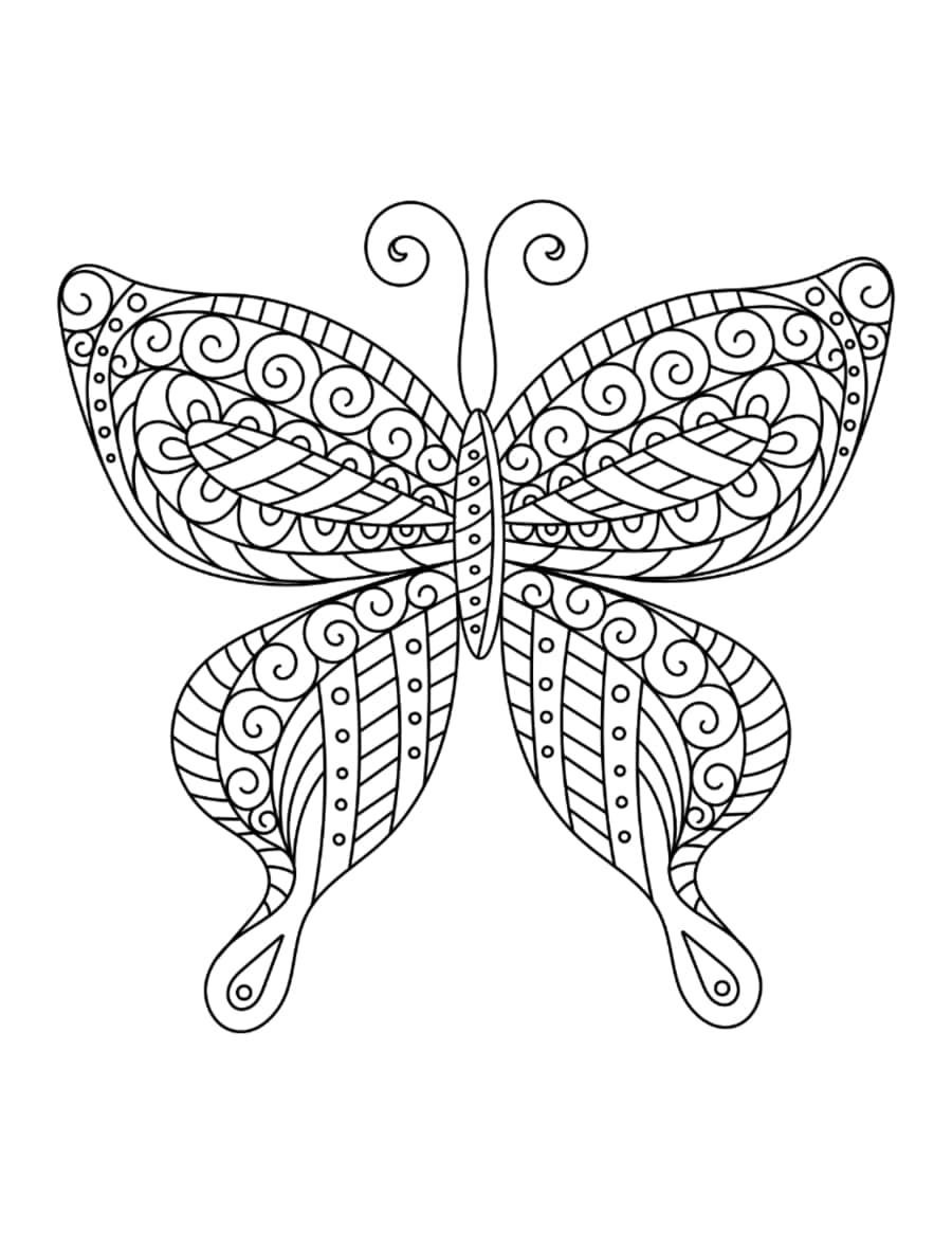 Butterfly Swirly Pattern For Adults Kids Coloring Pages Pdf Free Vectors